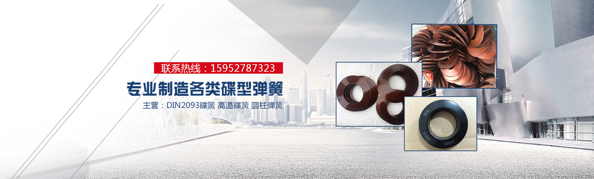 揚(yáng)州市揚(yáng)碟彈簧有限公司